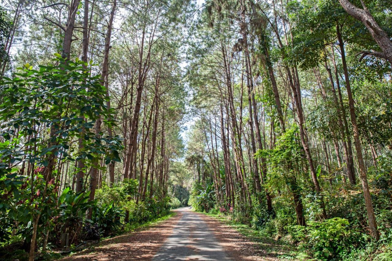 Khaokhoherbary Organicfarm&Resort Khao Kho Exterior foto