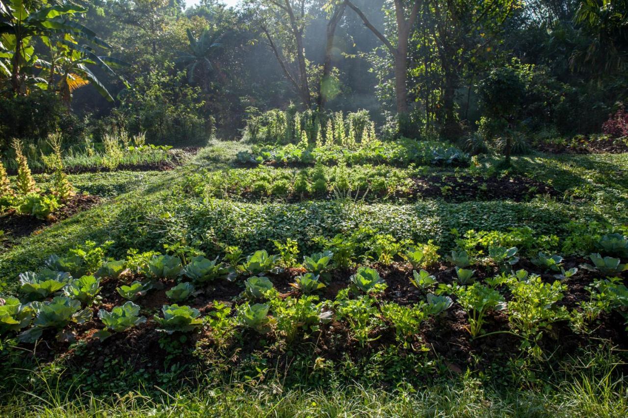 Khaokhoherbary Organicfarm&Resort Khao Kho Exterior foto